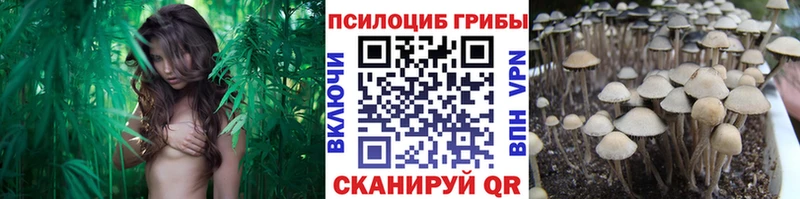 Галлюциногенные грибы прущие грибы  MEGA tor  Новая Ляля 